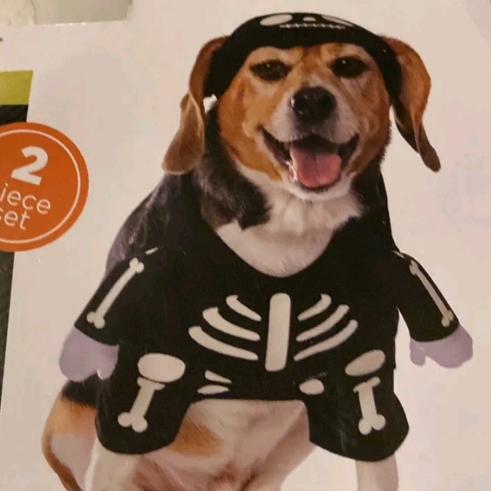 Glow In The Dark Halloween Pet Skeleton Costume  Size Medium NWT